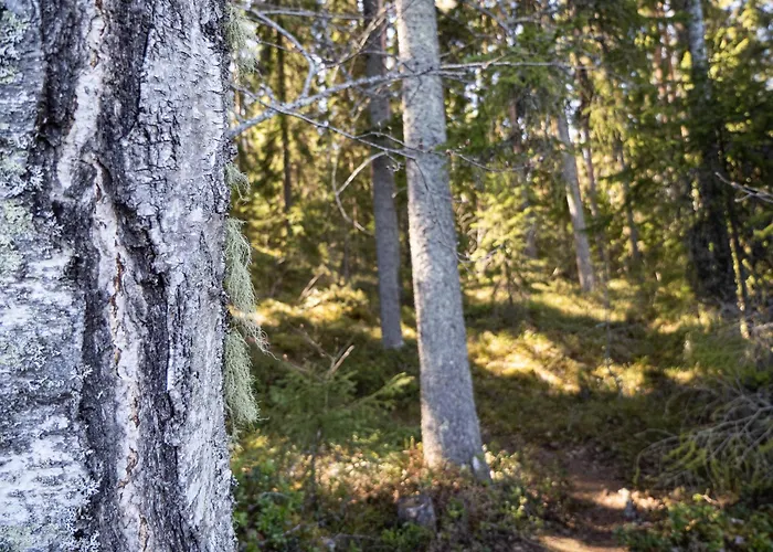 Keurusselkae فندق كورو