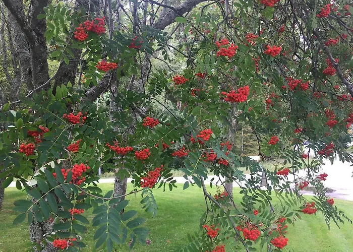 فندق Keurusselkae 3*